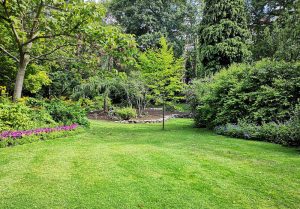 Optimiser l'expérience du jardin à Sainte-Sigolene